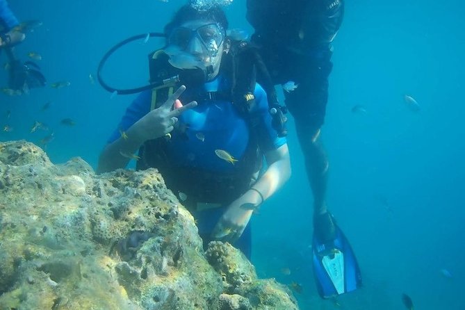 Scuba Diving (shore Dive) at Havelock Islands - What the Havelock shore session is really offering