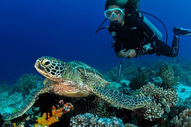 Scuba Diving to Dimaniyat Islands Muscat Oman - Key points at a glance