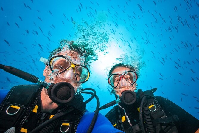 Scuba Diving to Dimaniyat Islands Muscat Oman - Is $175 good value?