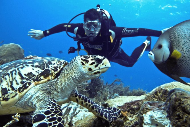 Scuba Diving Tour - Meeting the instructors before getting in the water