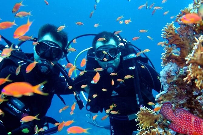 Scuba Diving Tour - What non-divers can do on the boat