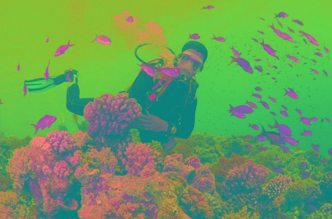 Scuba Diving Tour - Lunch onboard, plus the drink question