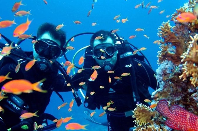 Scuba Diving Tour - Weather, timing, and cancellation advice