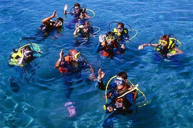 Scuba Diving Tour From Kusadasi / Selcuk - What the $91.45 price really gets you
