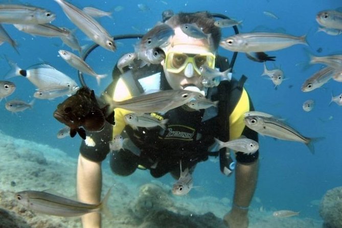 Scuba Diving Tour From Kusadasi / Selcuk - Time to snorkel and relax on the boat