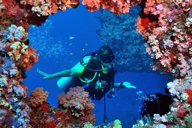 Scuba Diving Tour From Kusadasi / Selcuk - Group size, instruction, and the feel of the outing