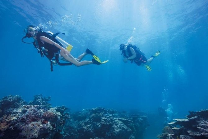 Scuba Diving Tour From Kusadasi / Selcuk - Health, fitness, and what to bring