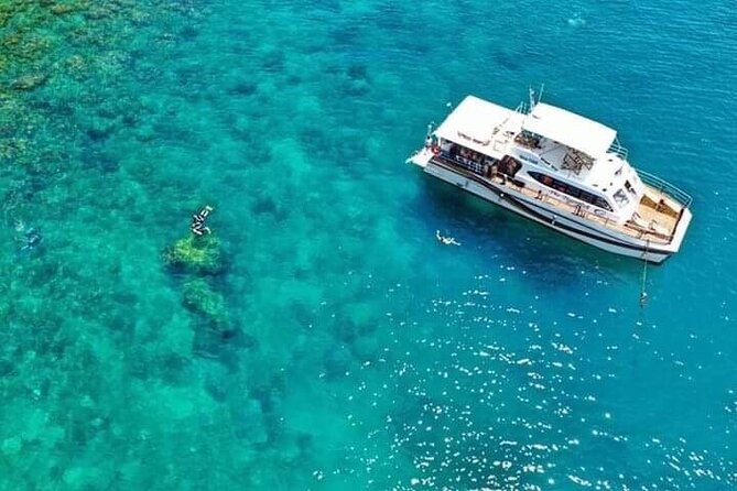 Scuba Diving Tour in Cham Island for certified divers or Beginners - The people and organization matter here
