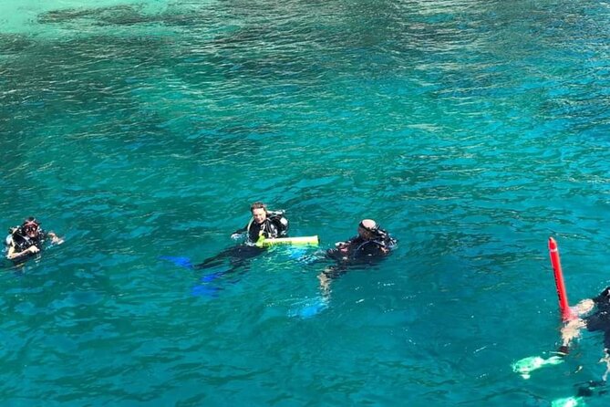 Scuba Diving Tour in Cham Island for certified divers or Beginners - The underwater session for beginners and certified divers