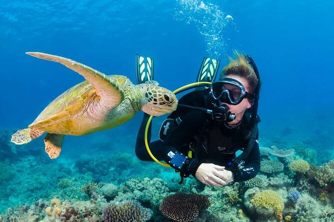 Scuba Diving Tour in Kemer with Lunch and Transfer - Key points at a glance