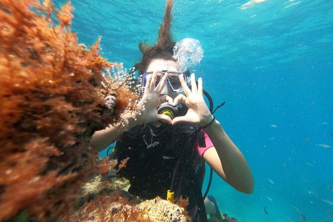 Scuba Diving Tour With Lunch in Alanya - Lunch Between the Morning and Afternoon Sessions
