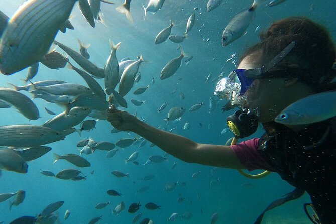 Scuba Diving Tour With Lunch in Alanya - Weather, Cancellation, and Practical Planning