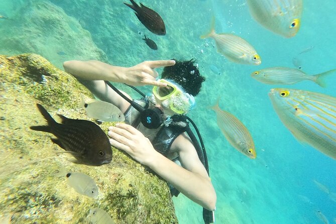 Scuba Diving Tour With Lunch in Alanya - What the Two Sessions Are Like