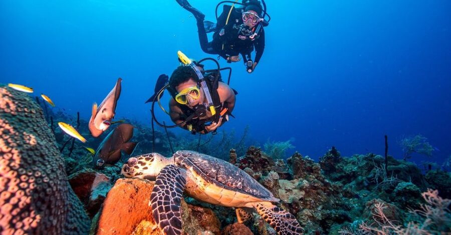 Scuba Diving Tour with Transfer From Alanya and city of Side - Your first session: learning to breathe underwater