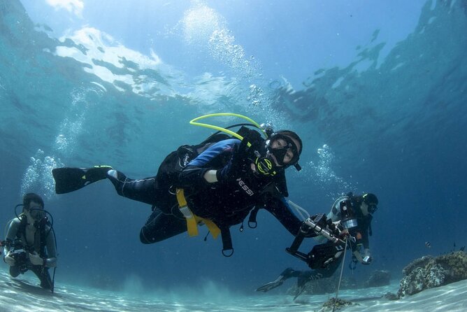 Scuba Diving Tour - Two underwater sessions, with realistic expectations