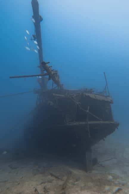 Scuba Diving trips for Certified Divers in Tenerife - Is $64 good value?