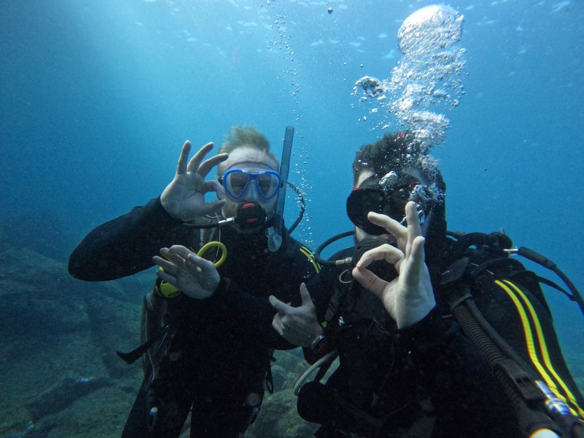 Scuba Diving trips for Certified Divers in Tenerife - The 15-minute speedboat ride keeps the outing focused