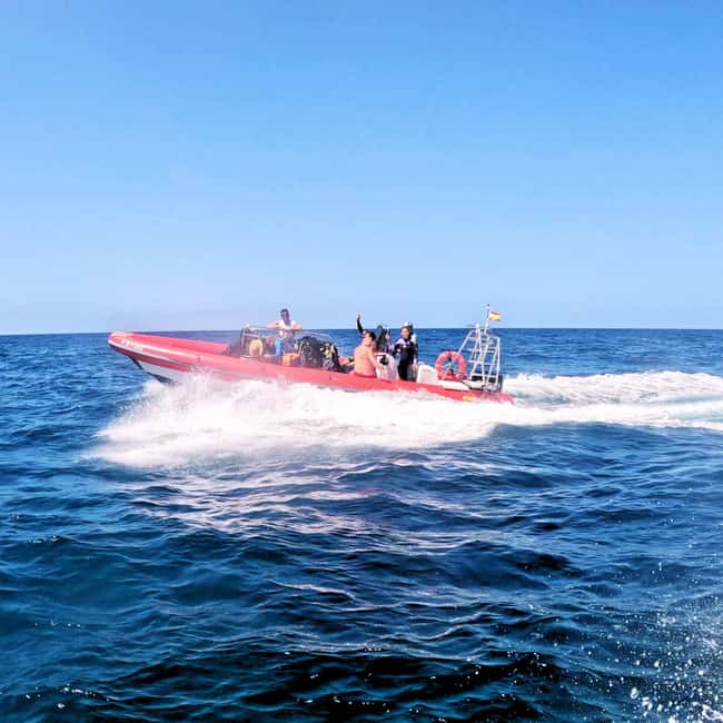 Scuba Diving trips for Certified Divers in Tenerife - Wrecks and caves add variety to the session