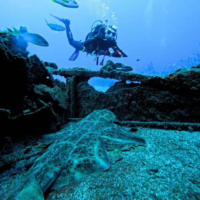 Scuba Diving trips for Certified Divers in Tenerife - The 45-minute underwater session is compact but useful