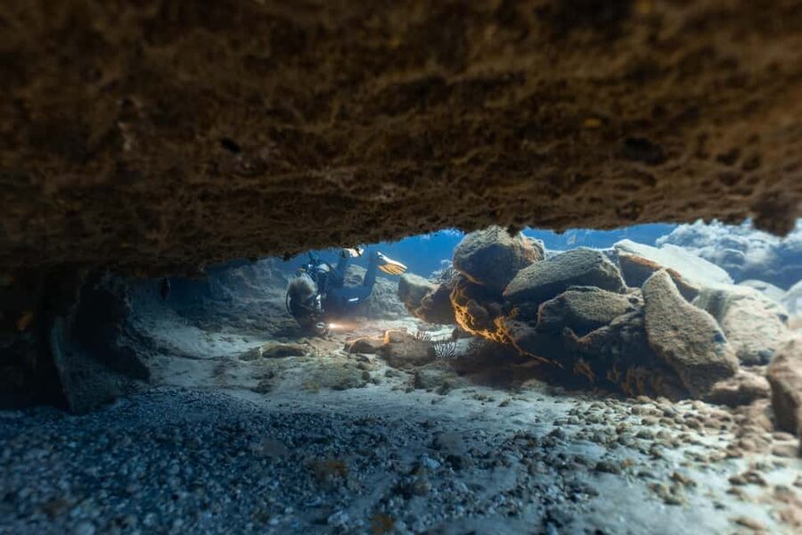 Scuba Diving trips for Certified Divers in Tenerife - Night sessions offer a different kind of wildlife encounter