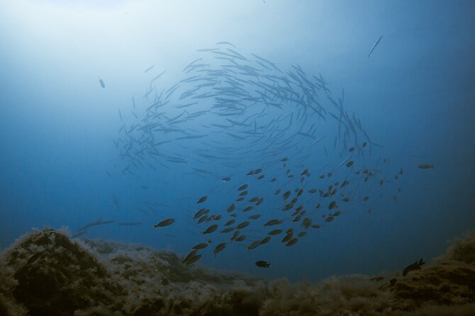 Scuba Diving try dive in Fuerteventura - Why the small group matters