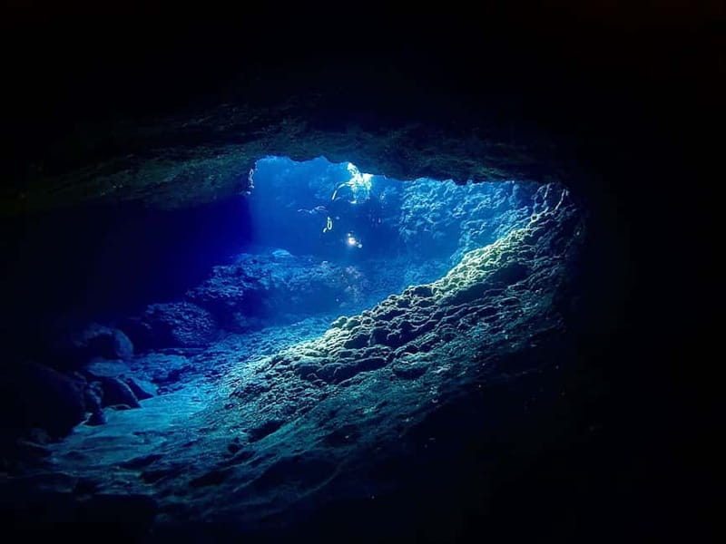 Scuba Diving - Tunnels & Caves - Cape Greco - private guided - What you might see below the surface