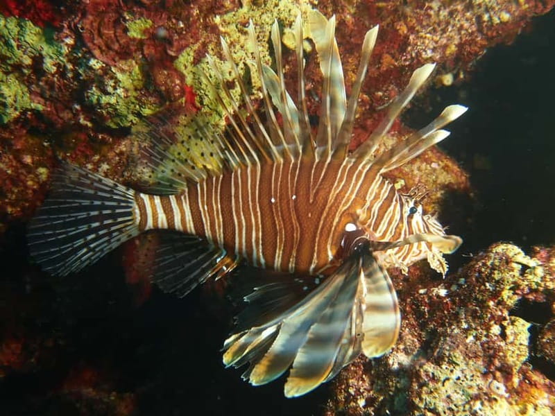 Scuba Diving - Tunnels & Caves - Cape Greco - private guided - Equipment, comfort, and practical preparation