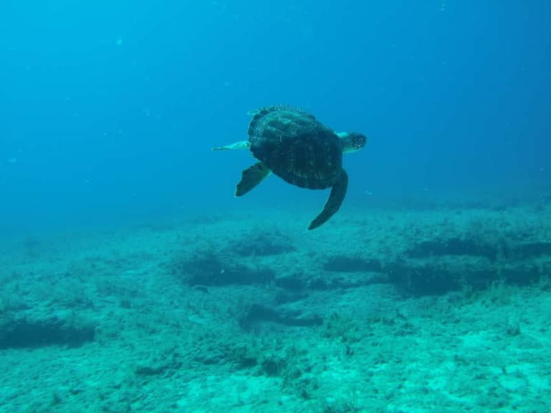 Scuba Diving - Tunnels & Caves - Cape Greco - private guided - The video package and underwater memories