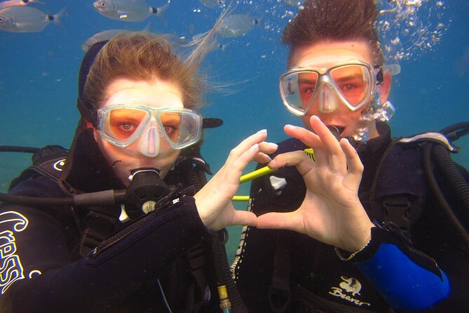 Scuba Diving Under Water Museum - Why Side Works Well for a First Scuba Experience