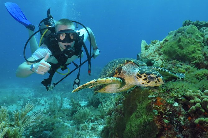 Scuba Diving Under Water Museum and Reef for beginners - Key things to know before booking