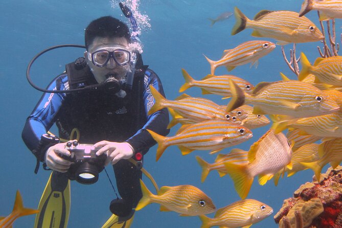 Scuba Diving Under Water Museum and Reef for beginners - Who will enjoy this Cancun scuba experience