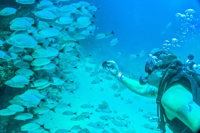 Scuba Diving with a 5-Star PADI Center in Puerto Vallarta - What the $119 price really covers