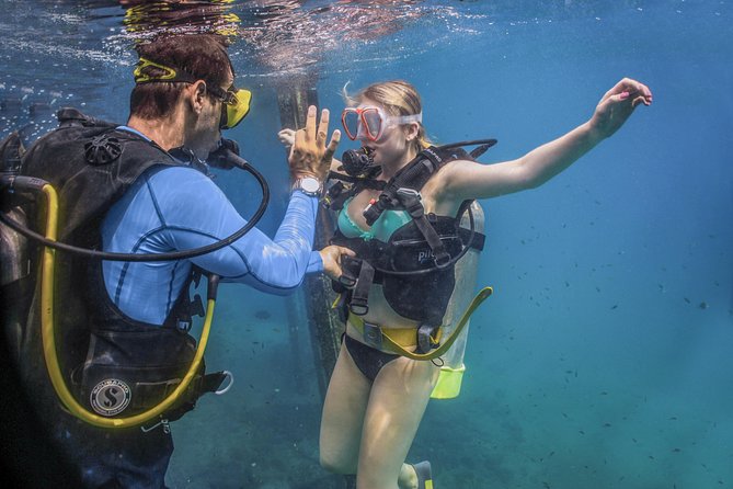 Scuba Diving with a 5-Star PADI Center in Puerto Vallarta - Choosing between Las Caletas, Los Arcos, and the Marietas Islands