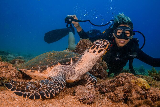 Scuba Diving with a 5-Star PADI Center in Puerto Vallarta - Safety and guide quality