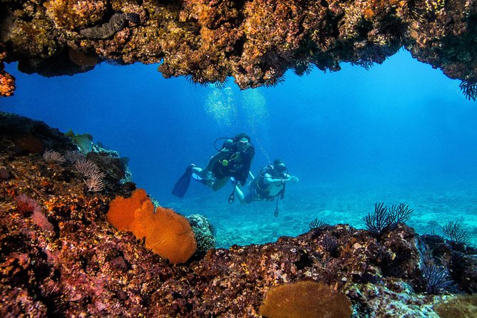 Scuba Diving with a 5-Star PADI Center in Puerto Vallarta - The boat atmosphere and time on shore