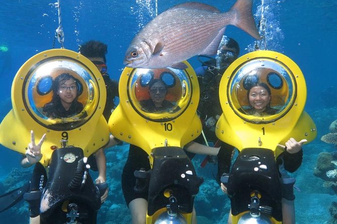 Scuba Doo Diving Experience in Punta Cana - Key points before you book