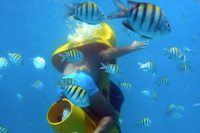 Scuba Doo - Diving Scooters in Punta Cana - Key points to know before booking
