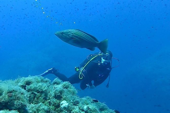 Scuba Experience - Key Points to Know Before You Book