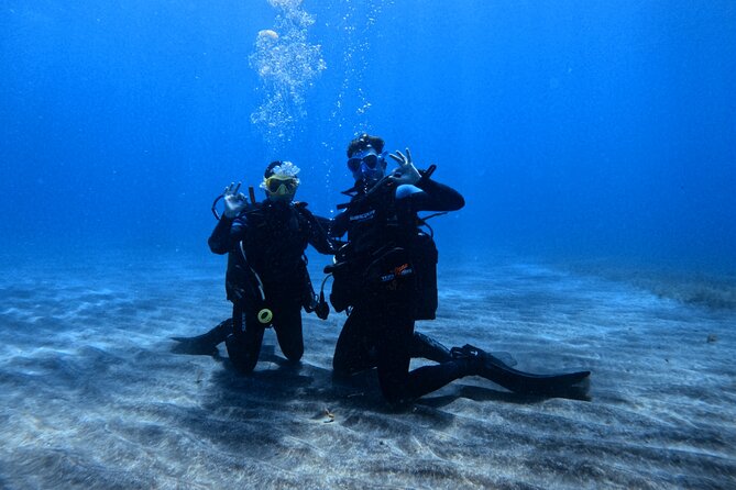Scuba Experience in Tenerife with Guide - Key points before you book
