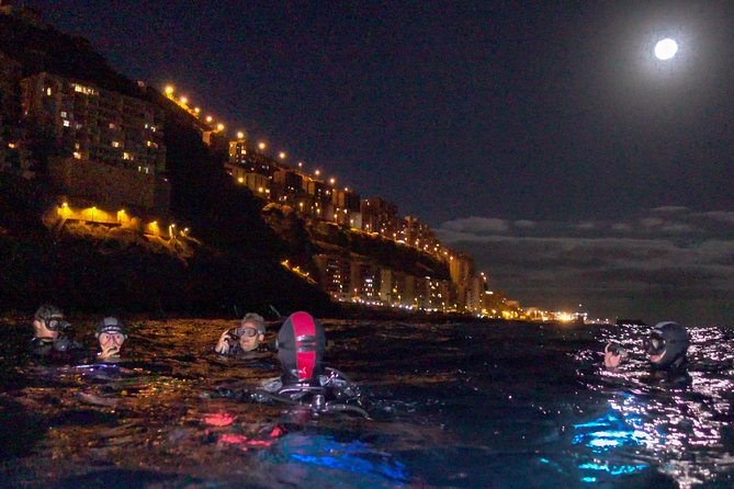 Scuba Night Dive on Tenerife - Key points about this Tenerife night scuba outing