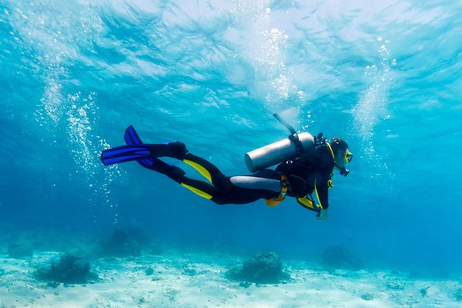 Scuba Referral Dives & Beach Club with Transportation In Riviera Maya - What this referral program is really for