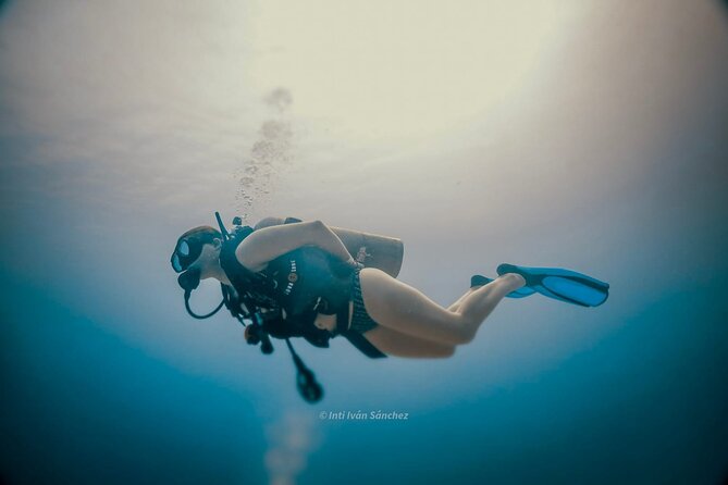 Scuba Referral Dives & Beach Club with Transportation In Riviera Maya - Guides, boat support, and the personal touch