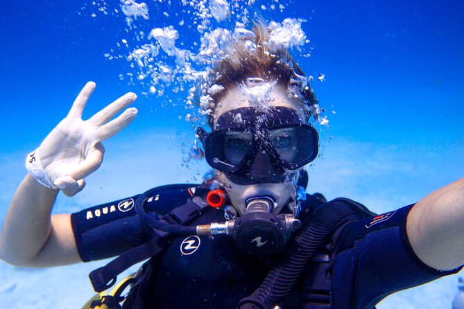 Scuba Referral Dives & Beach Club with Transportation In Riviera Maya - Who should book this program?