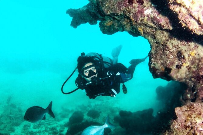 Scuba Tour for Certified Divers in San Juan - Why Escambrón Marine Park makes a good shore dive