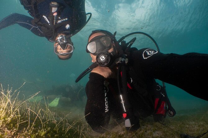 Scuba Tour for Certified Divers in San Juan - The underwater route, from reef to replicas
