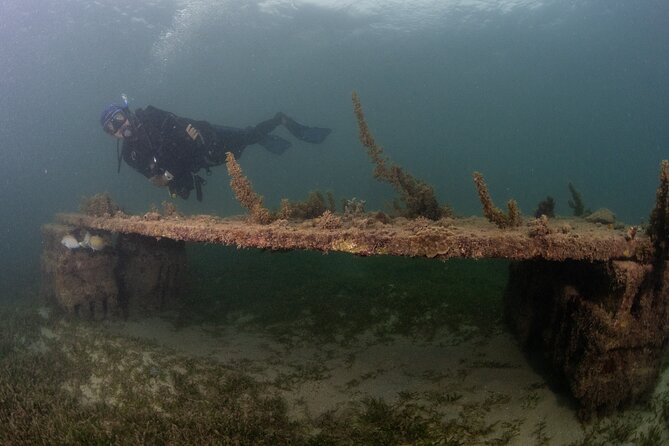 Scuba Tour for Certified Divers in San Juan - A shallow trip with real value for certified divers