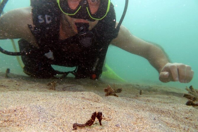 Scuba Tour for Certified Divers in San Juan - The guide can make or break a short session
