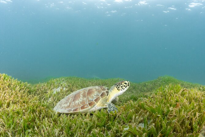 Scuba Tour for Certified Divers in San Juan - Facilities that make a shore outing easier