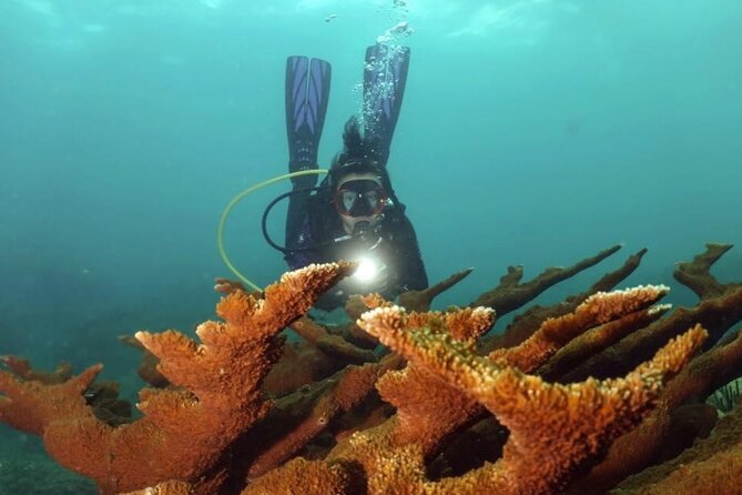 Scuba Tour for Certified Divers in San Juan - What the two-and-a-half-hour schedule means