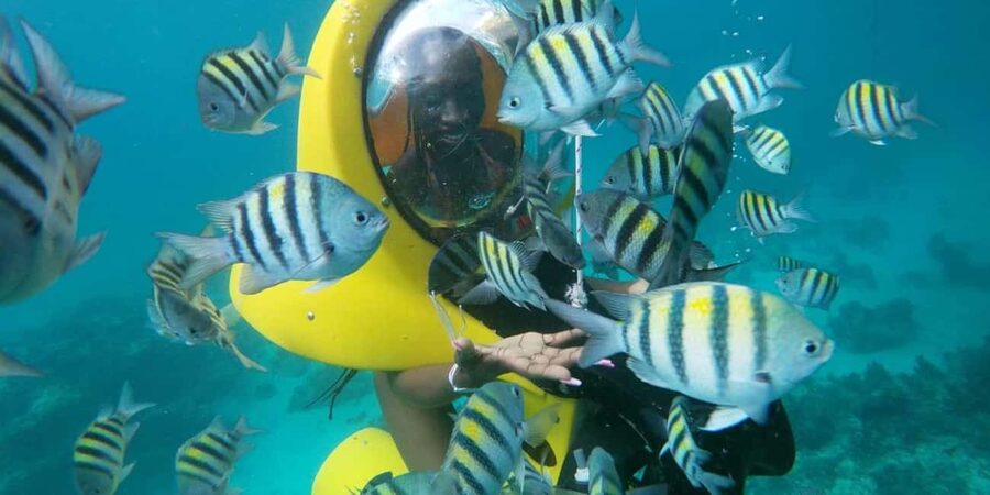 Scubadoo Punta Cana Diving Adventure - The glass-bottom boat gives you a gentle start